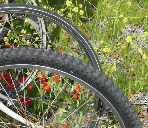 Bicycle Tires at Berkeley Marina