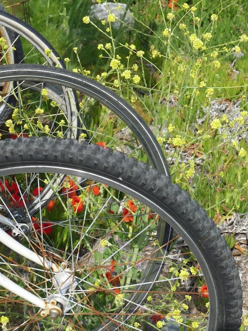 Bicycle Tires at Berkeley Marina