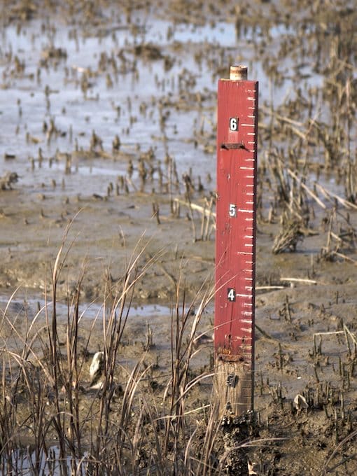 Low tide marker