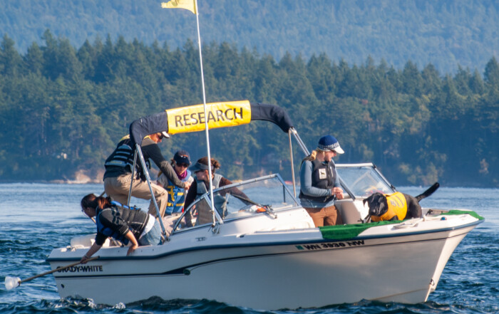 Tucker Conservation Canine with Southern Resident Orcas