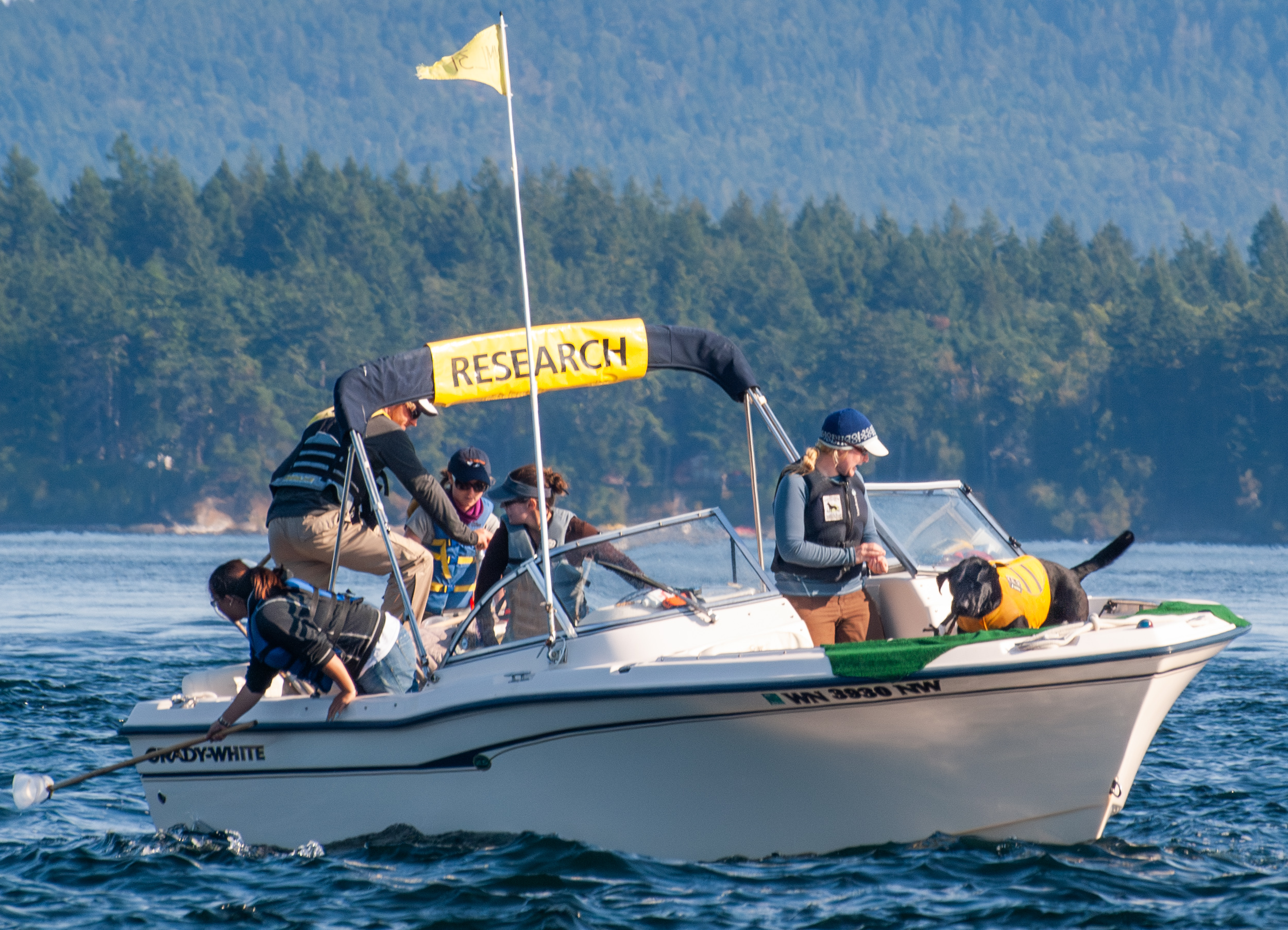 Tucker Conservation Canine with Southern Resident Orcas