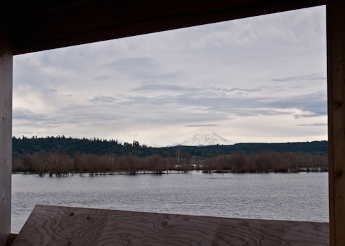 Nisqually National Wildlife Refuge in Washington