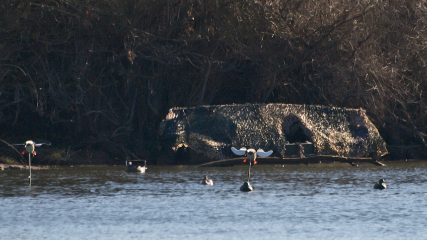 Duck Blind and Decoys on River Duck Blind and Decoys on River