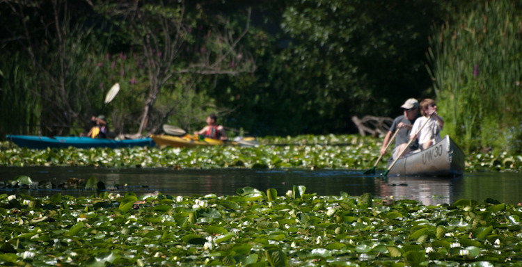 Canoes at Washington Park Arboretum