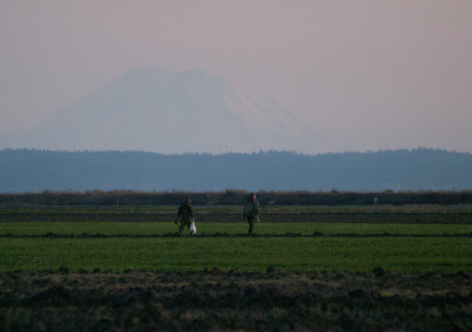 Hunters Shooting Snow Geese in Washington