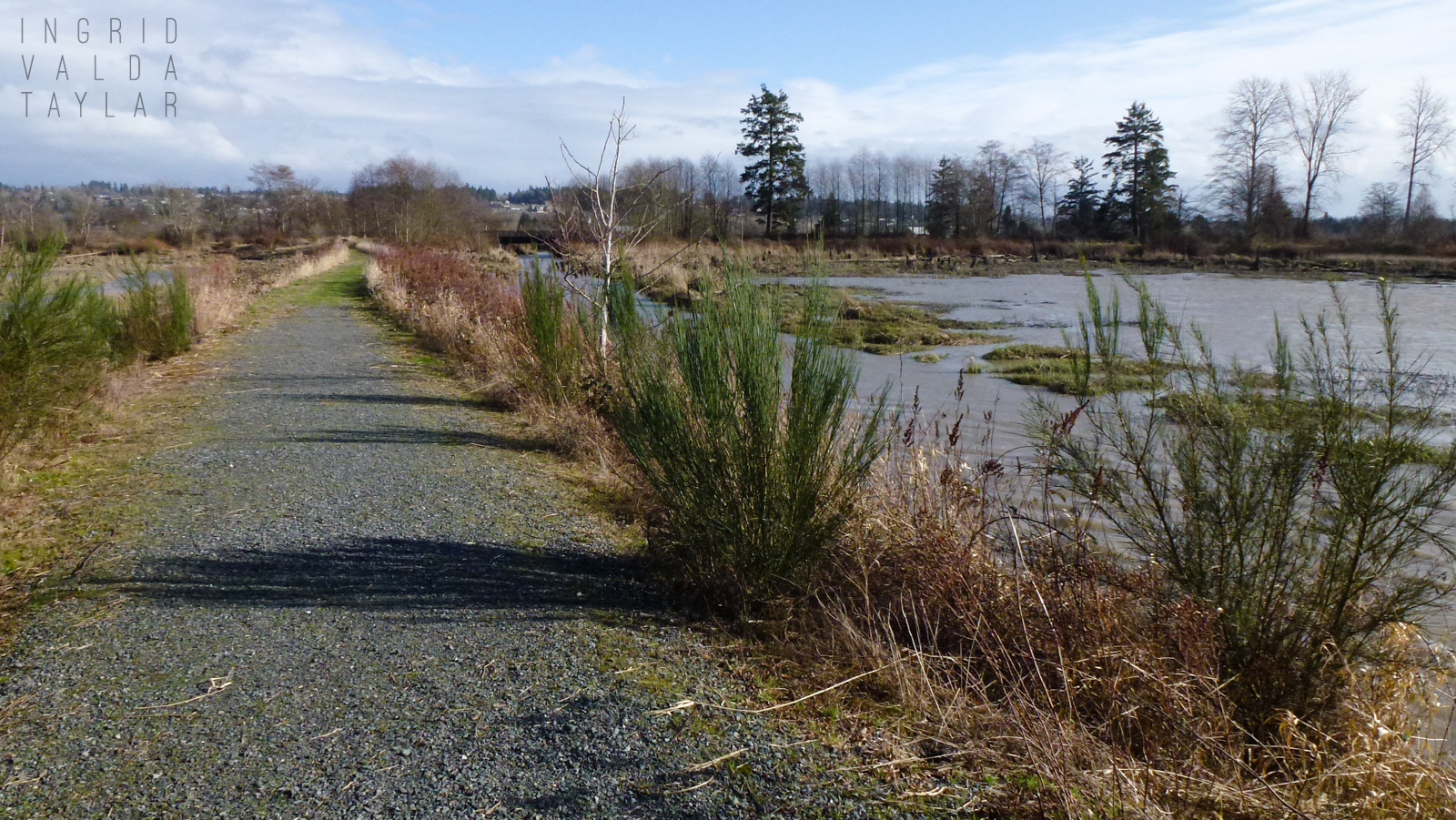Spencer Island Pathway Spencer Island Pathway