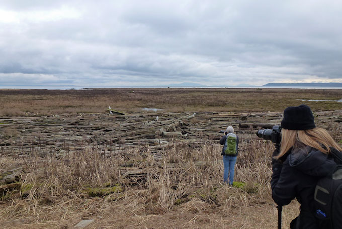 Photographing at Boundary Bay