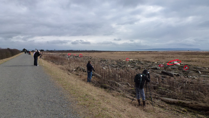 Boundary Bay Photographers