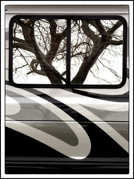 Tree Reflected in Trailer Window