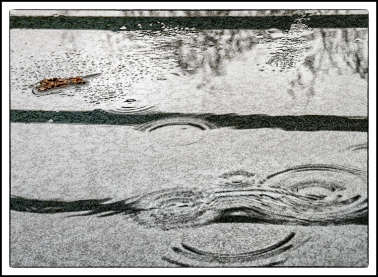 Raindrops in a Puddle