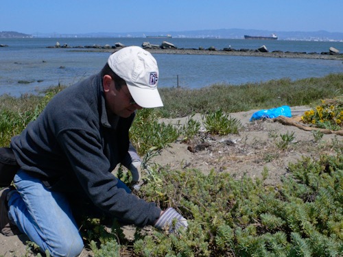 Volunteering at Pier 94 in San Francisco