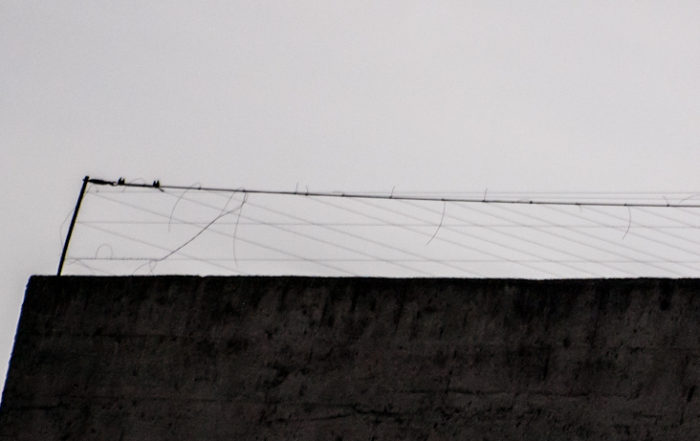 Bird deterrent wires on roof