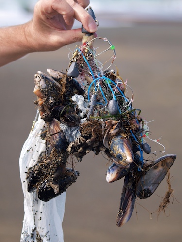 Fishing Gear Trash on Beach