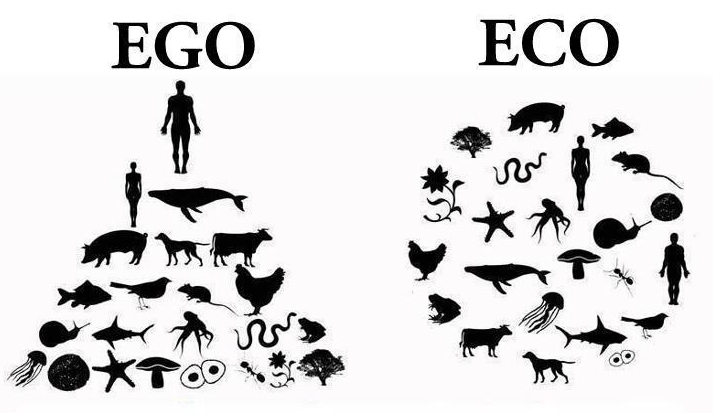Ego Eco Graphic