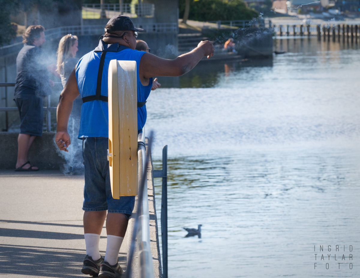 Sea Lion bombs at Ballard Locks in Seattle