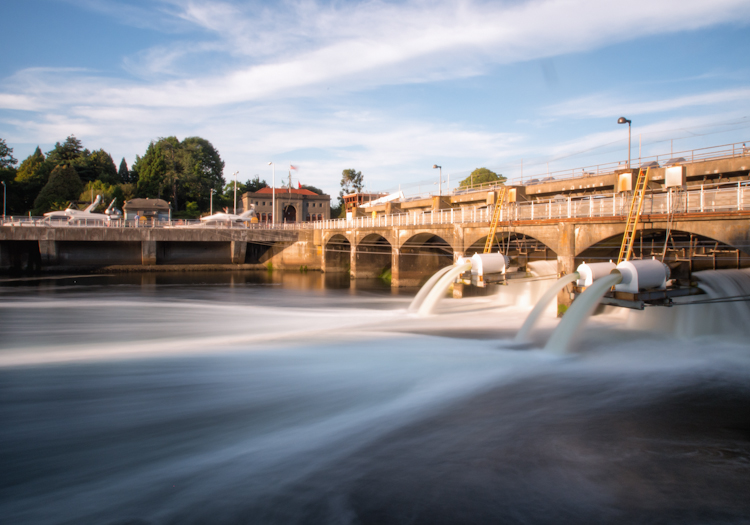 Ballard Locks smolt flumes