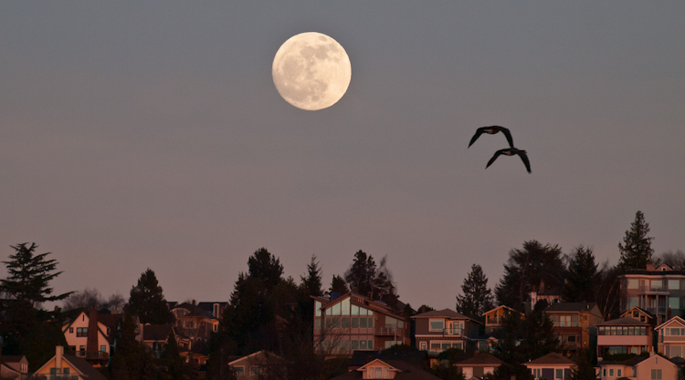 Moonrise over Queen Anne hill in Seattle