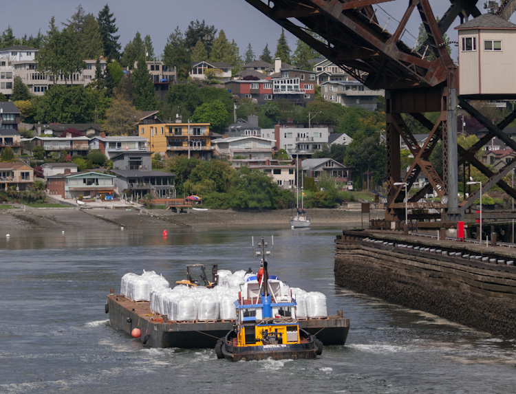 Ballard Locks Osprey Nest