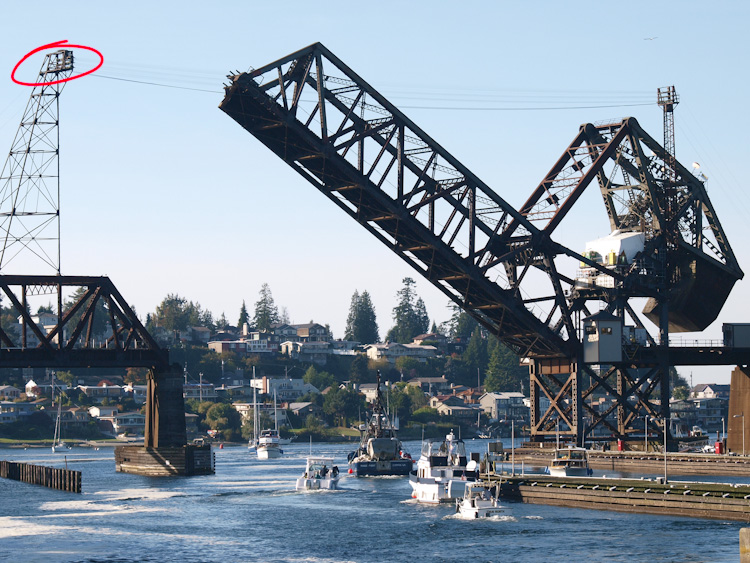 Osprey nest on railroad bridge at Ballard Locks Seattle