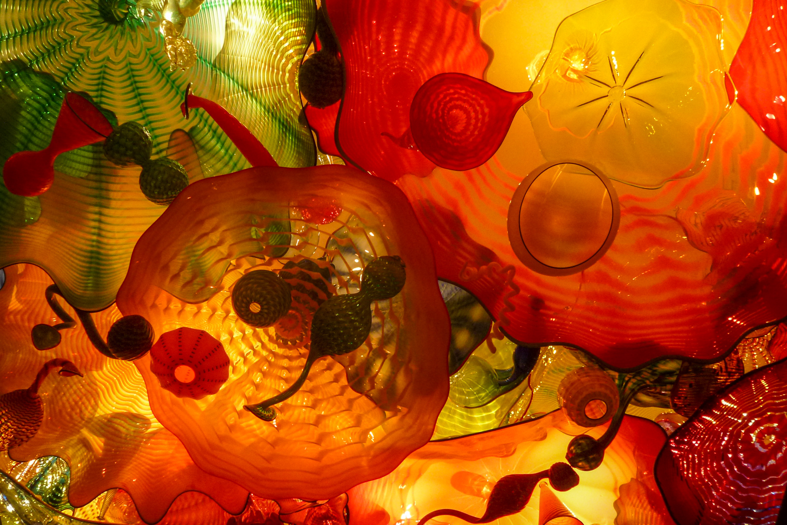 Chihuly Garden and Glass 3
