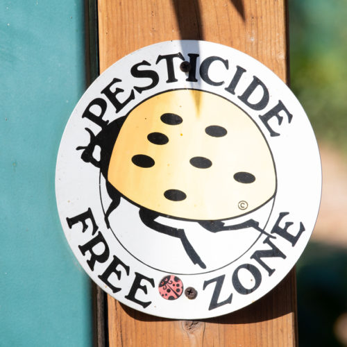 Pesticide Free Zone Sign