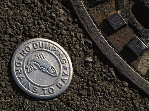 Storm drain no dumping sign in Seattle