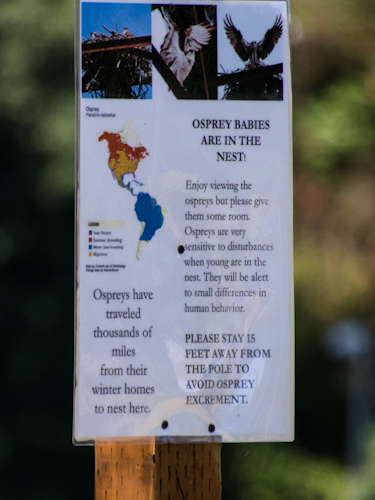 Osprey protection sign in Commodore Park Seattle