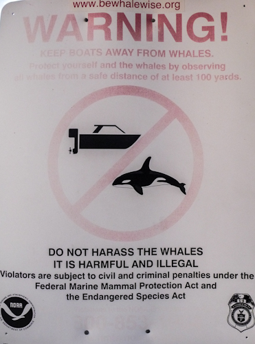Protect Whales Sign at Shilshole Marina in Seattle