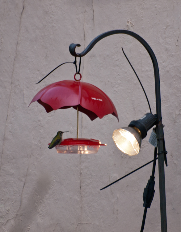 Heated Hummingbird Feeder