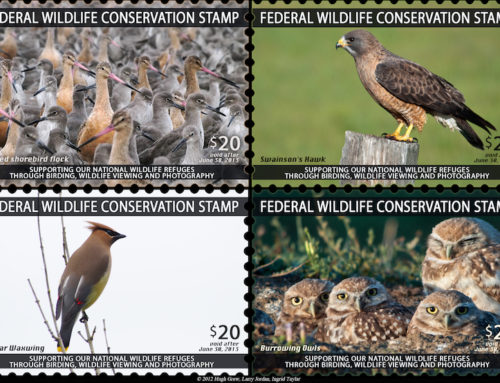 Support a New Wildlife Conservation Stamp