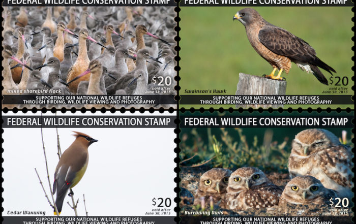 Wildlife Conservation Stamp 4-panel