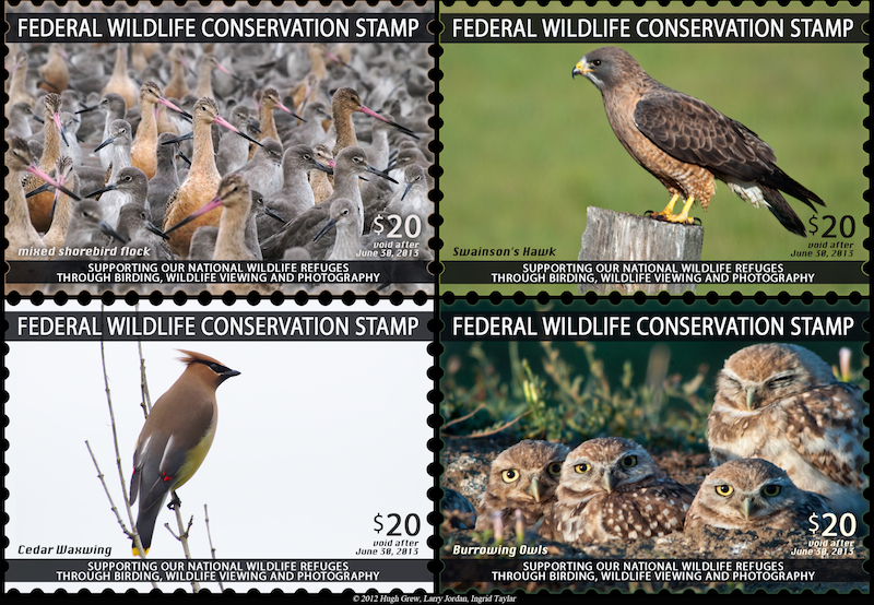 Wildlife Conservation Stamp 4-panel