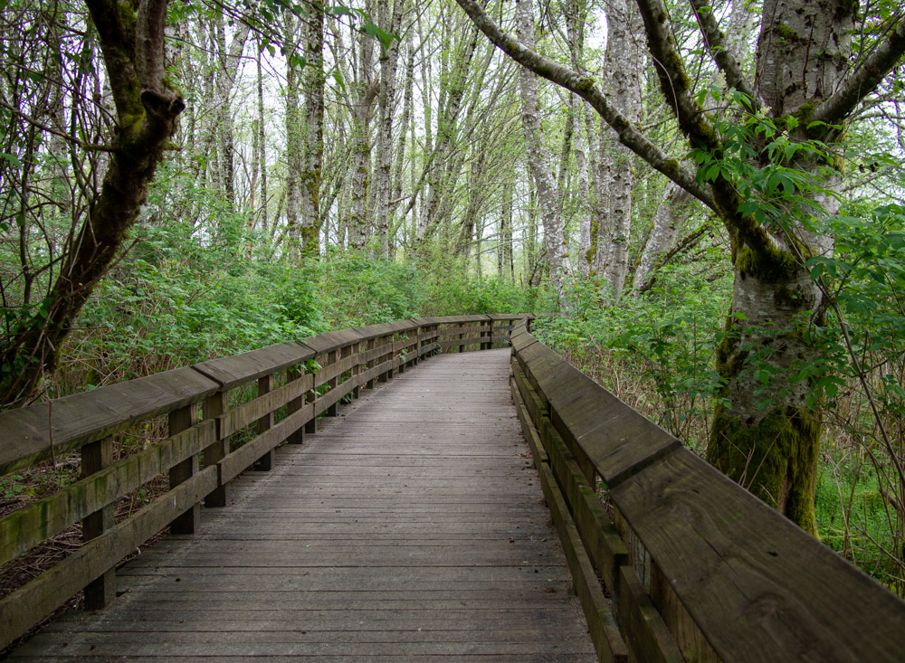 Grays Harbor Boardwalk