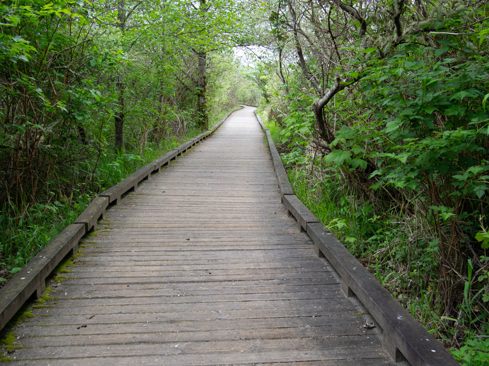 Grays Harbor Boardwalk