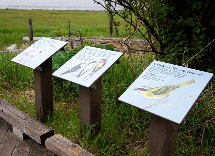 Grays Harbor Interpretive Signs