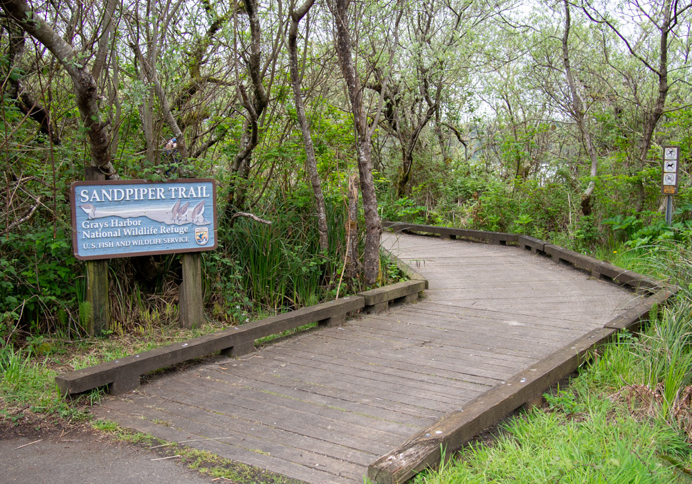 Grays Harbor Sandpiper Trail