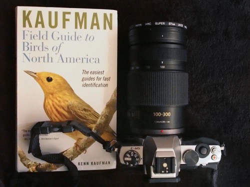 micro four thirds for wildlife