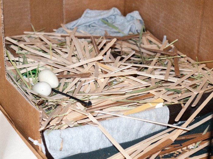 Pigeon nesting box