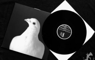 White Pigeon on Fleeth Record Album