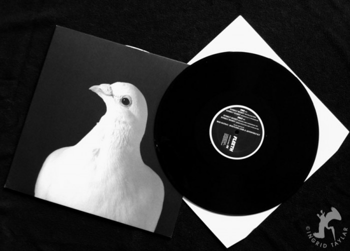 White Pigeon on Fleeth Record Album