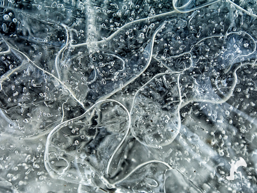 Macro of Ice