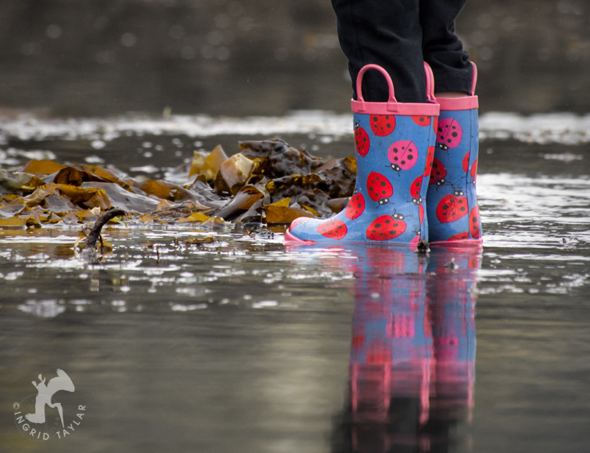 Children's Mucking boots at low tide