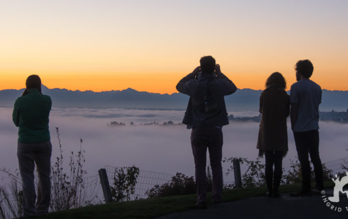 Fog Bank over Seattle