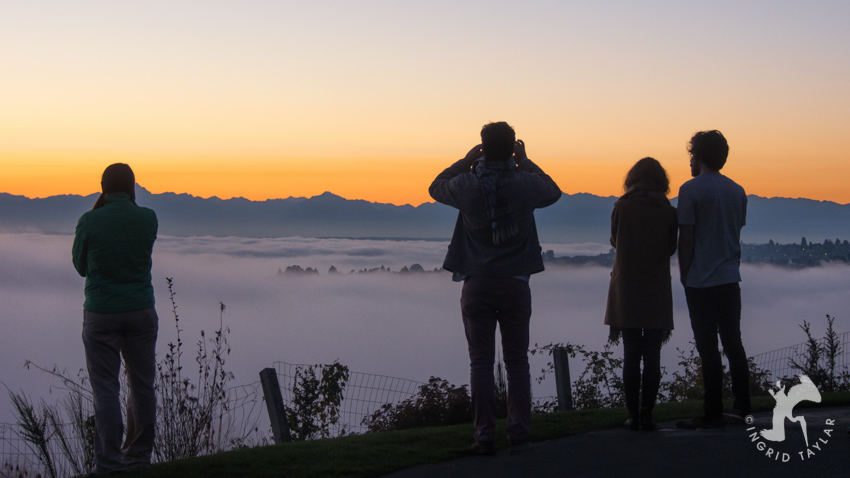 Fog Bank over Seattle