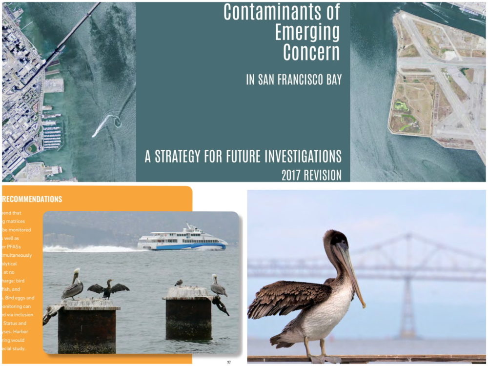 Contaminants of Emerging Concern