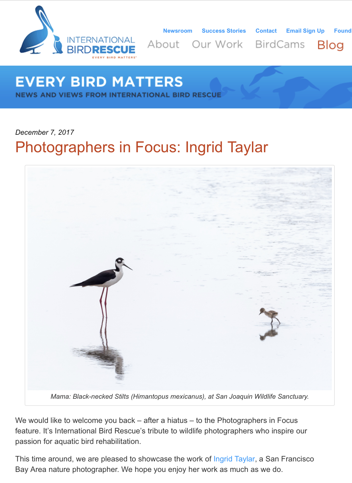 Ingrid Taylar Photographers in focus