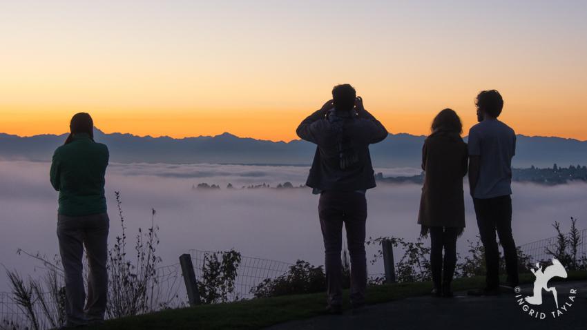 Fog Blanket Over Seattle