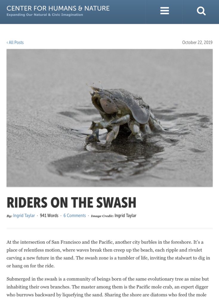 Riders on the Swash