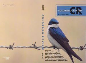 Colorado Review Cover by Ingrid Taylar