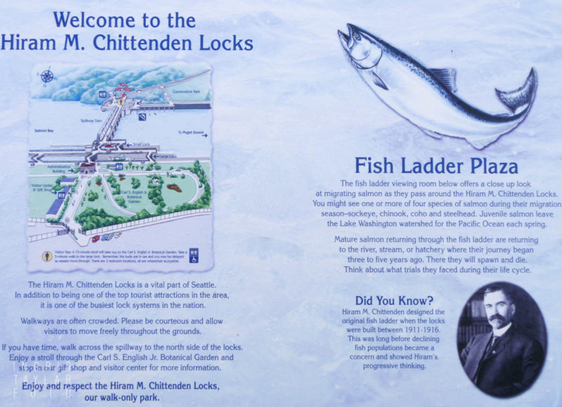 Ballard Locks Fish Ladder Sign